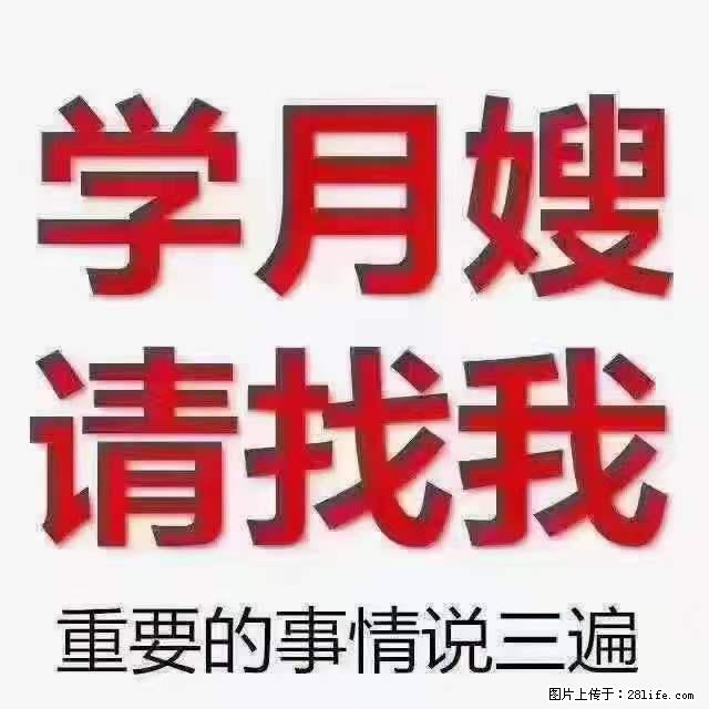 为什么要学习月嫂，育婴师？ - 其他广告 - 广告专区 - 三亚分类信息 - 三亚28生活网 sanya.28life.com