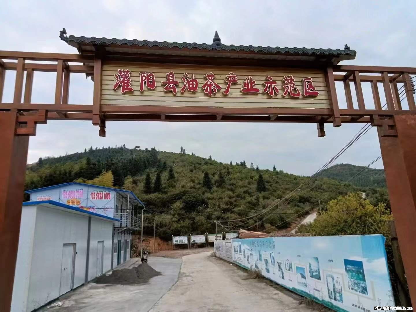 【灌阳县油茶产业示范区】一个有着充实的精神生活的人，对待身外之物自会有一种淡泊的态度 - 美食天地 - 三亚生活社区 - 三亚28生活网 sanya.28life.com