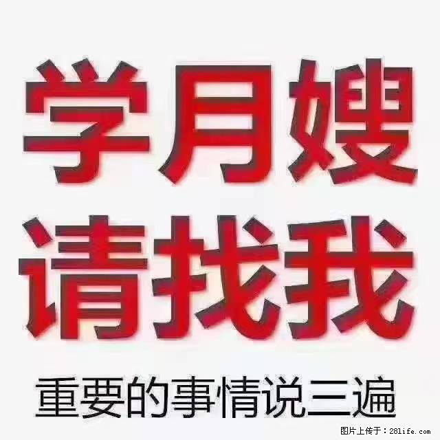 【招聘】月嫂，上海徐汇区 - 职场交流 - 三亚生活社区 - 三亚28生活网 sanya.28life.com