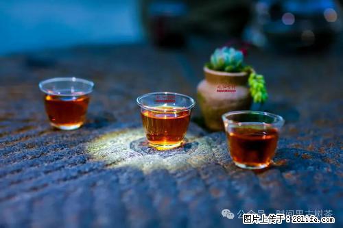 时间果百年古树2025年春红茶 - 购物交流 - 三亚生活社区 - 三亚28生活网 sanya.28life.com