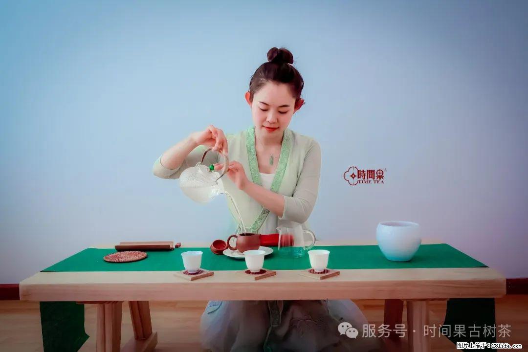 时间果百年古树龙珠普洱生茶 - 购物交流 - 三亚生活社区 - 三亚28生活网 sanya.28life.com