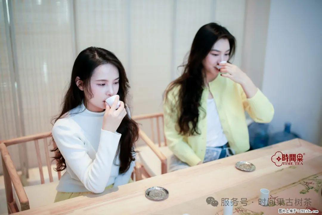 时间果百年古树龙珠普洱生茶 - 购物交流 - 三亚生活社区 - 三亚28生活网 sanya.28life.com