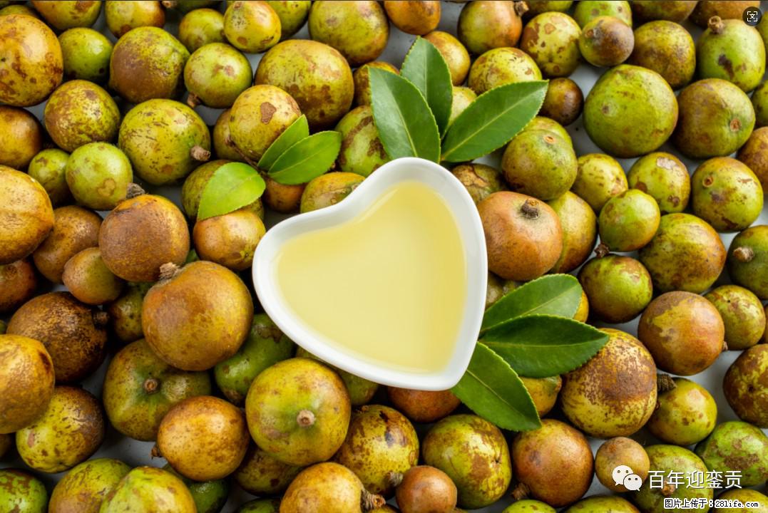 世界没有真相,只有认知,最好的食用油是中国的山茶油! - 三亚生活资讯 - 三亚28生活网 sanya.28life.com