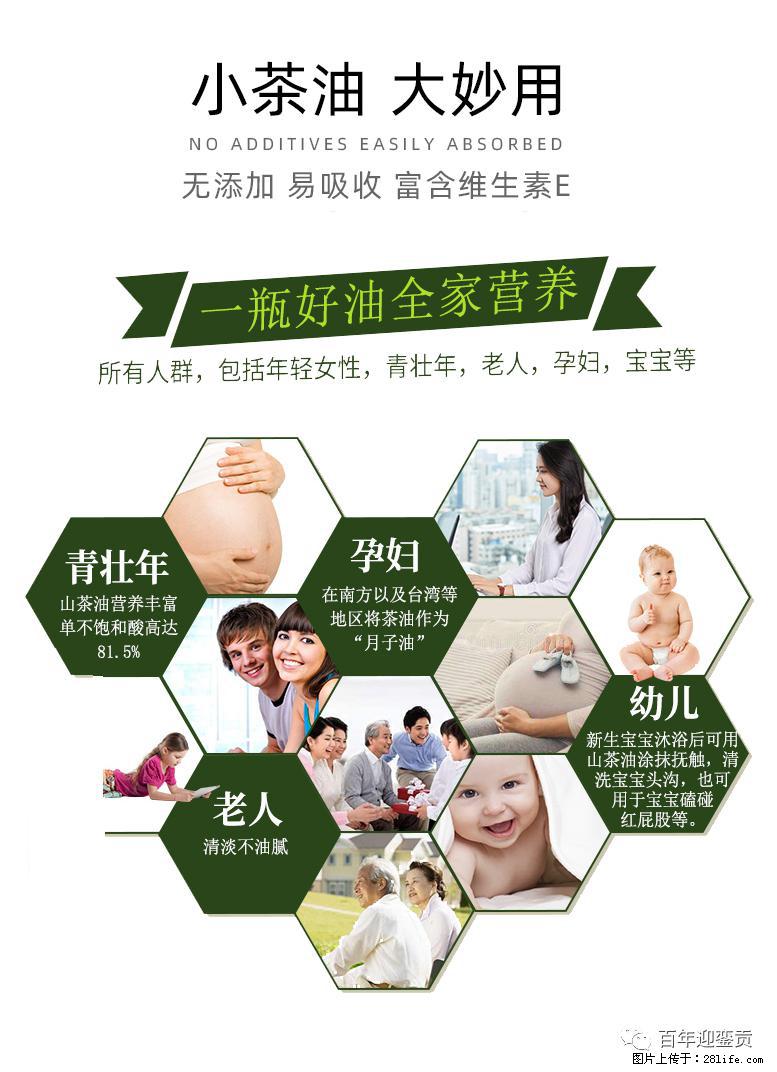 世界没有真相,只有认知,最好的食用油是中国的山茶油! - 三亚生活资讯 - 三亚28生活网 sanya.28life.com