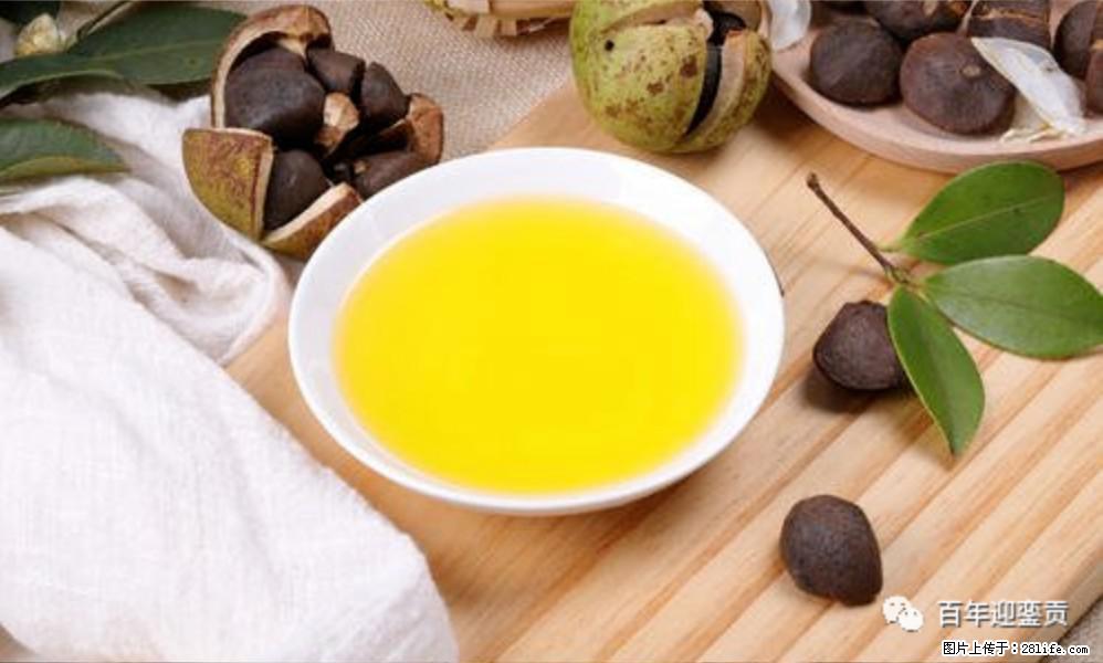 世界没有真相,只有认知,最好的食用油是中国的山茶油! - 三亚生活资讯 - 三亚28生活网 sanya.28life.com