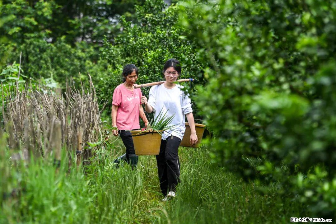 全网追的“扁担女孩”,找了一份暑假工,时薪12元 - 三亚生活资讯 - 三亚28生活网 sanya.28life.com
