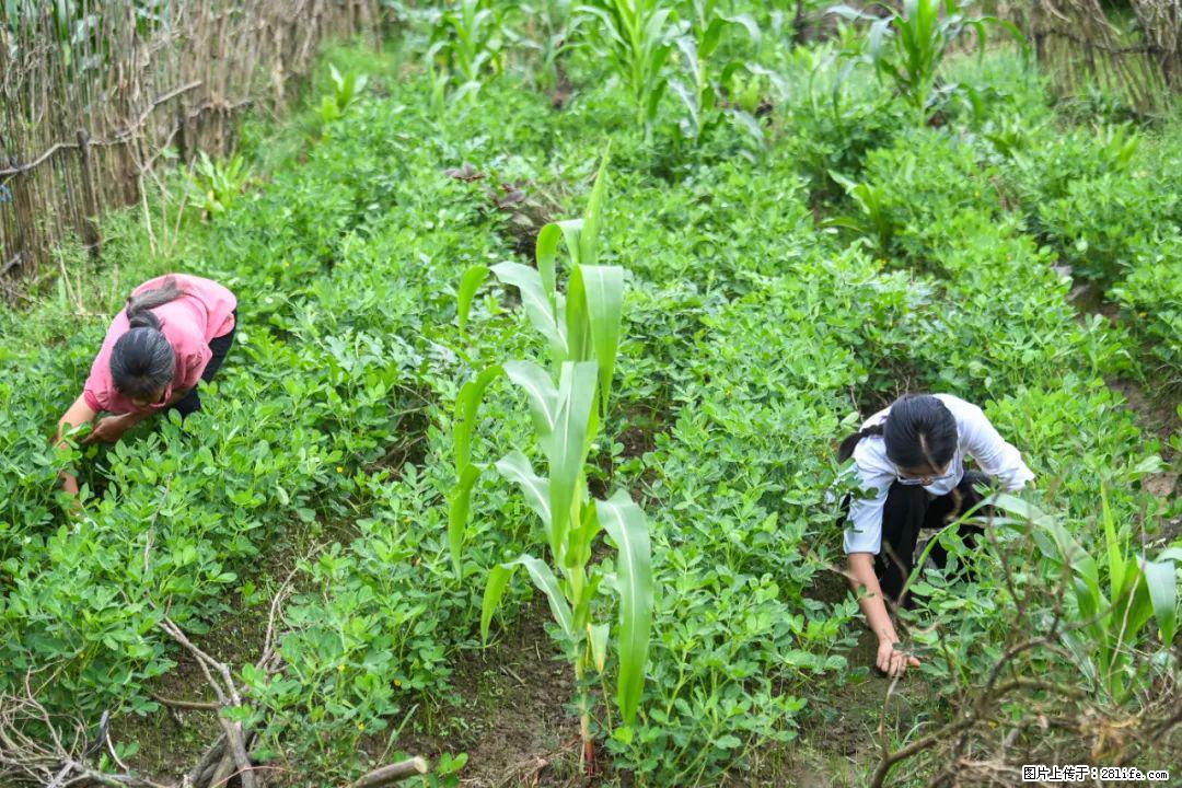全网追的“扁担女孩”,找了一份暑假工,时薪12元 - 三亚生活资讯 - 三亚28生活网 sanya.28life.com
