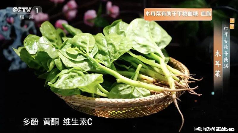 比牛奶补钙还厉害！凉血解毒、稳血糖...这菜冬天必吃，很多人却当草 - 三亚生活资讯 - 三亚28生活网 sanya.28life.com