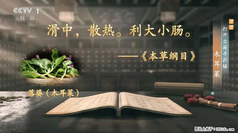 比牛奶补钙还厉害！凉血解毒、稳血糖...这菜冬天必吃，很多人却当草 - 三亚生活资讯 - 三亚28生活网 sanya.28life.com