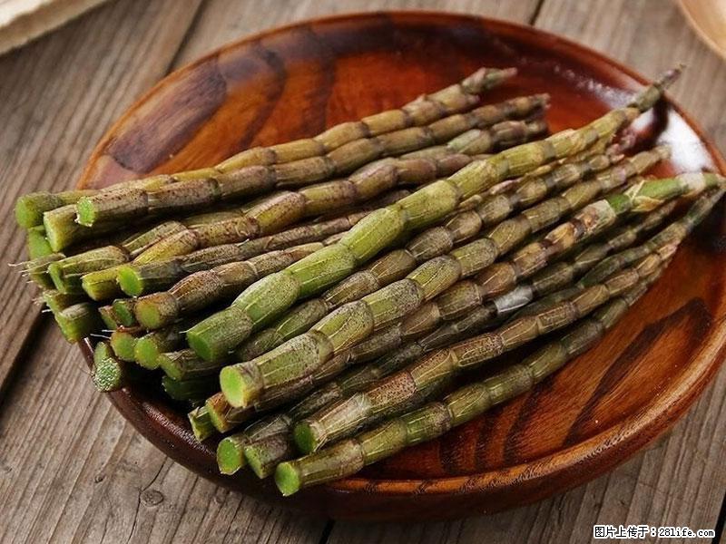 铁皮石斛的作用与功能主治 - 三亚生活资讯 - 三亚28生活网 sanya.28life.com
